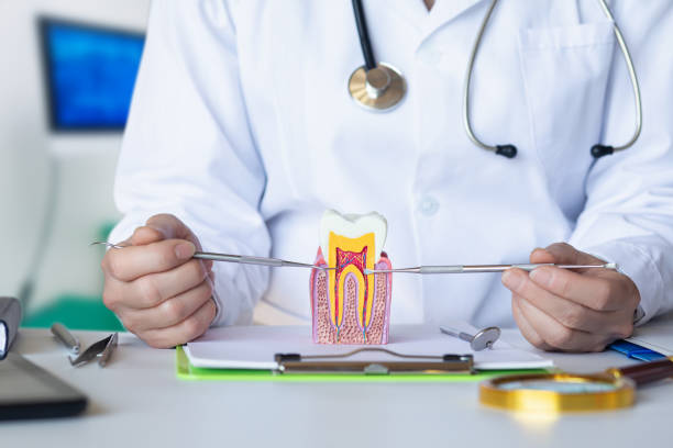 Best Urgent Care for Lost Fillings or Crowns in Mayfield, PA